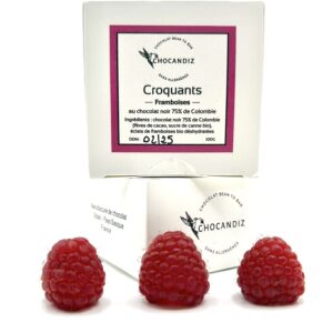 Croquants chocolat noir 75% framboise bio