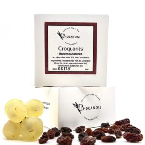 Croquants chocolat noir 75% raisins secs